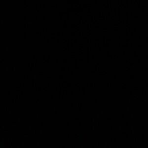 Meet your Posher, Sierra